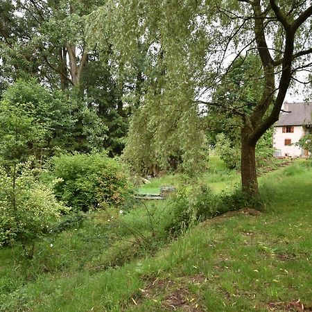 Serendipity Bed&Breakfast Saint-Die-des-Vosges Exterior photo