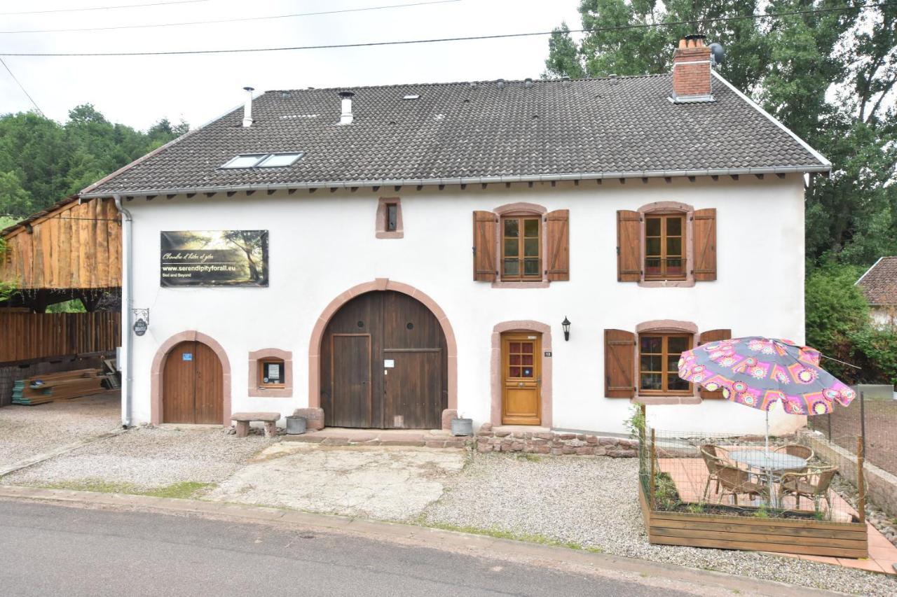 Serendipity Bed&Breakfast Saint-Die-des-Vosges Exterior photo