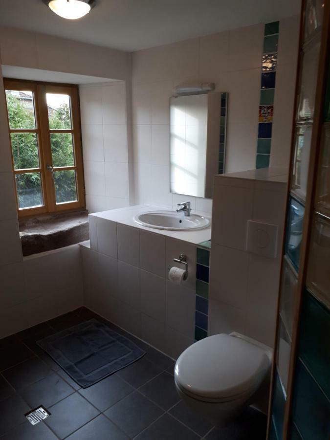 Serendipity Bed&Breakfast Saint-Die-des-Vosges Exterior photo