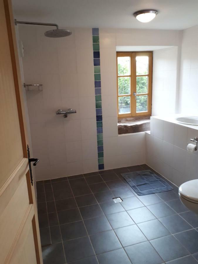 Serendipity Bed&Breakfast Saint-Die-des-Vosges Exterior photo