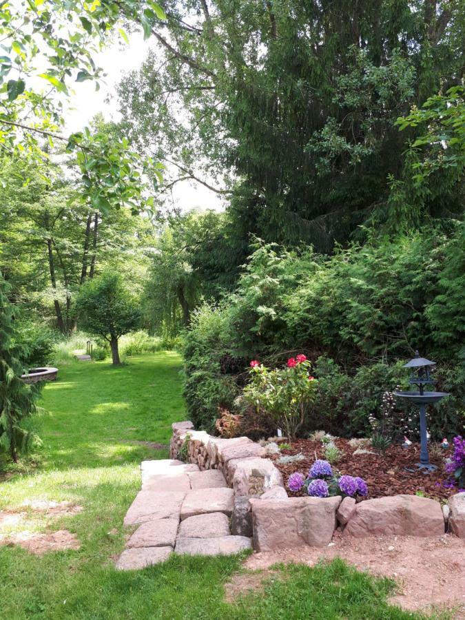 Serendipity Bed&Breakfast Saint-Die-des-Vosges Exterior photo
