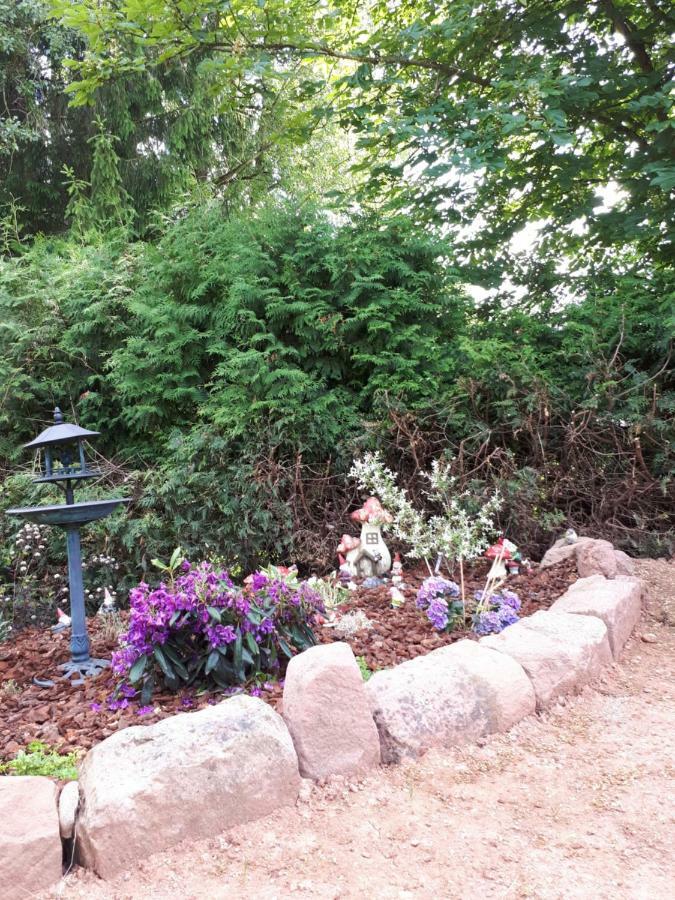 Serendipity Bed&Breakfast Saint-Die-des-Vosges Exterior photo