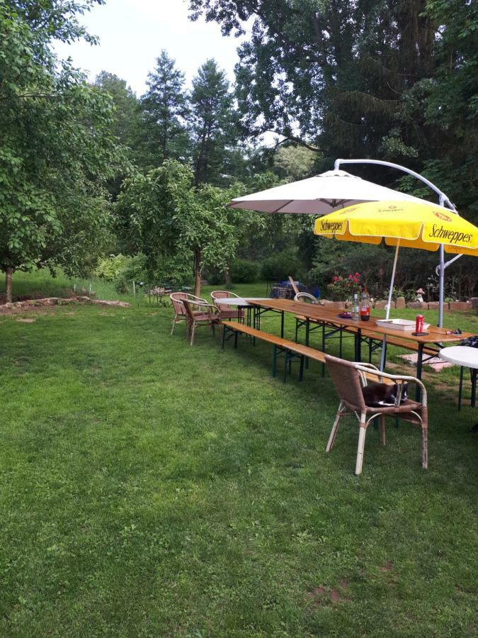Serendipity Bed&Breakfast Saint-Die-des-Vosges Exterior photo